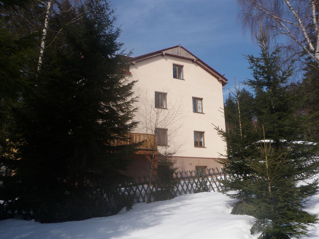 Apartmany Domino Železná Ruda Extérieur photo